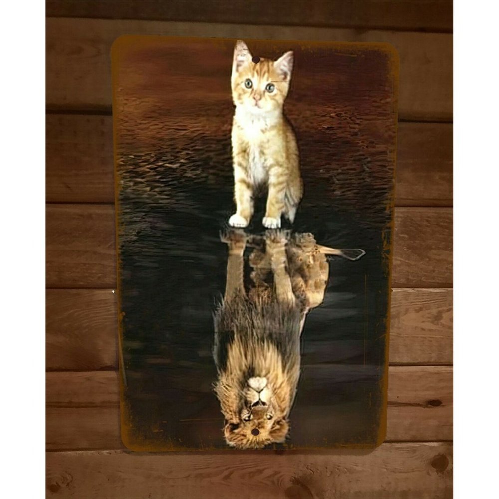 Kitty Cat Lion Reflection Perception of Yourself 8x12 Metal Wall Animal‎ Sign